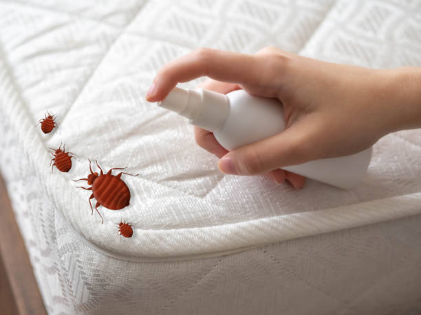 Best Indoor Pest Control  in Leawood, KS